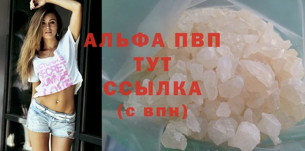 стаф Абинск