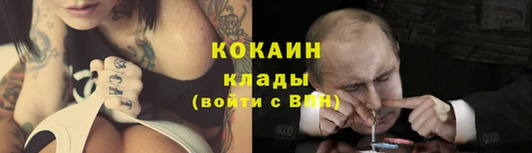 стаф Абинск