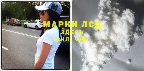стаф Абинск