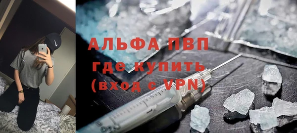 стаф Абинск