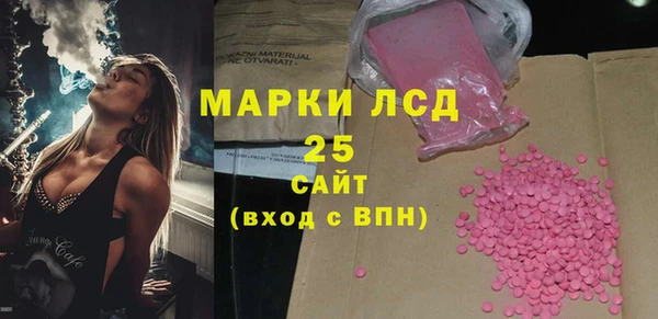 шишки Краснотурьинск